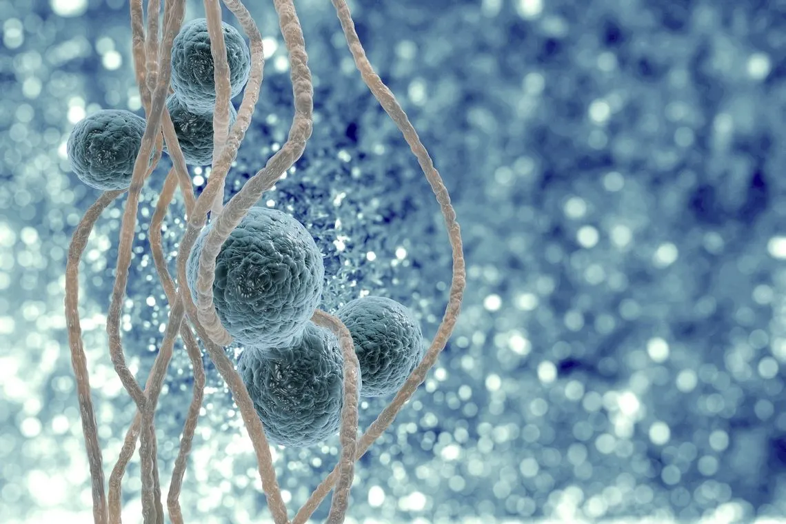 38d5903ef8b1a1899ce4da908f63b8b68a713290