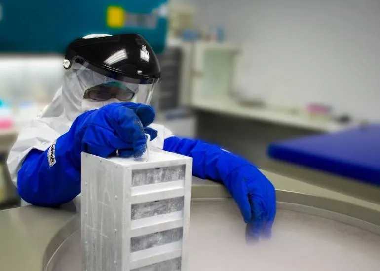 4790f05ad713dc767a292d5d3b881d8395bdda3d