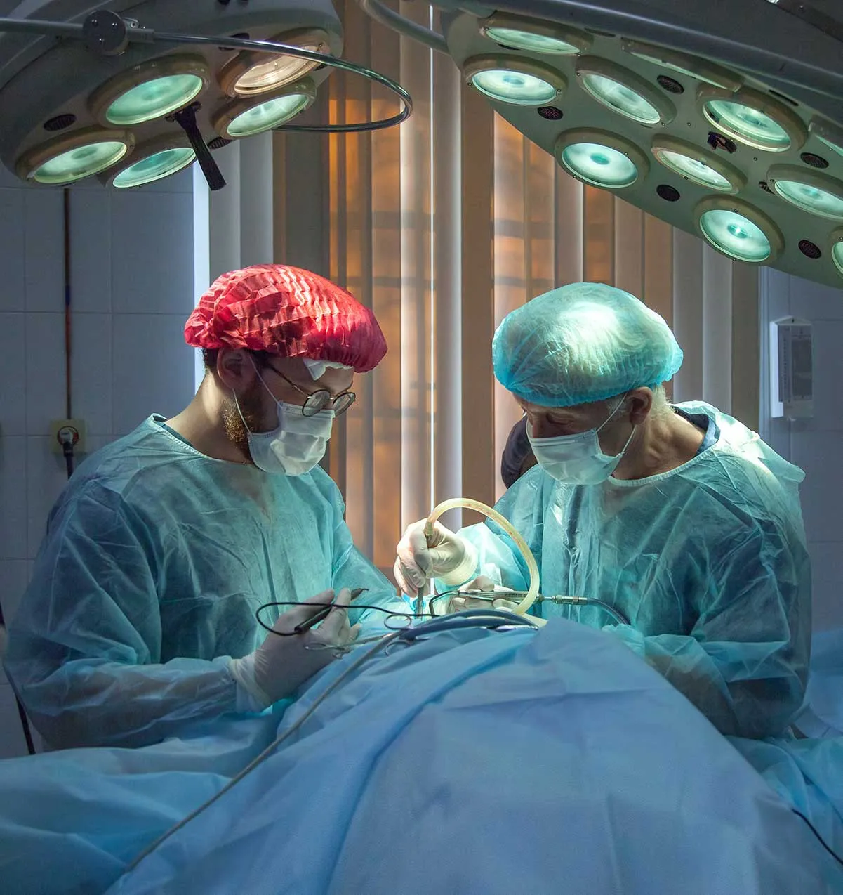 transplant-1