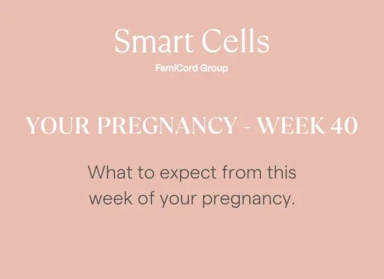 Your Pregnancy at Week 40