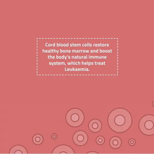 Leukaemia: Can Stem Cells Help?