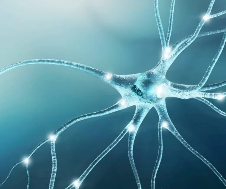 The Latest News on Cord Blood and Cellular Therapies From our Scientific Director, Dr Ann Smith