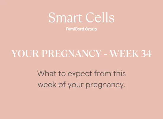Your Pregnancy at Week 34