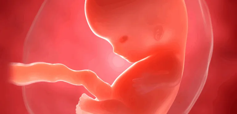 臍帶組織幹細胞：特性與益處