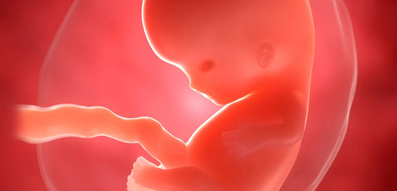 臍帶組織幹細胞：特性與益處