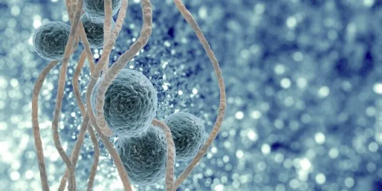 How Stem Cells can potentially save your life.