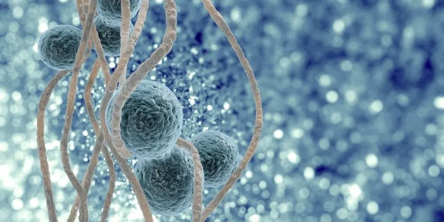 How Stem Cells can potentially save your life.