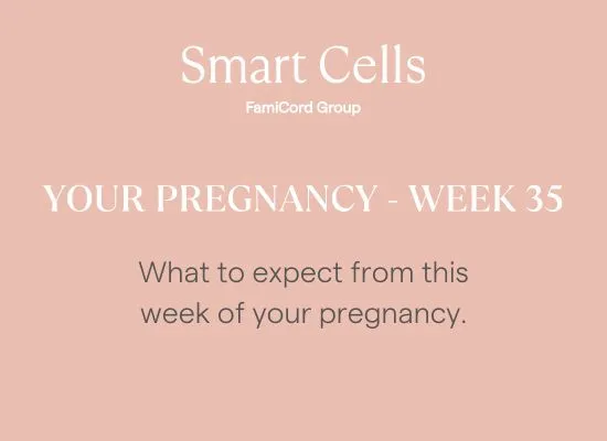 Your Pregnancy at Week 35