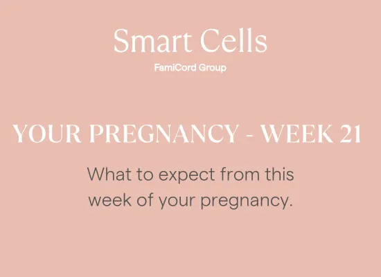 Your Pregnancy - Week 21