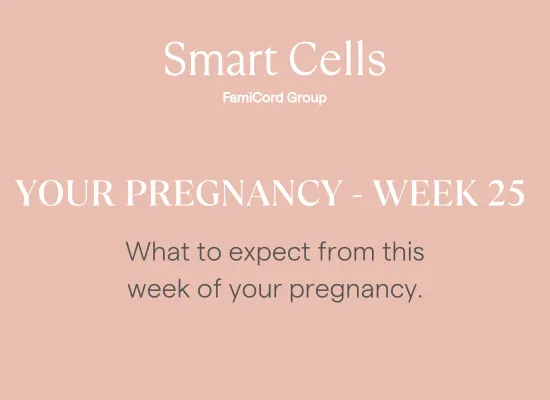 Your Pregnancy at Week 25