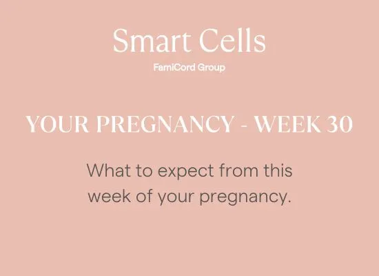 Your Pregnancy at Week 30