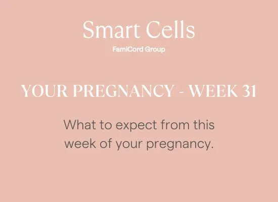 Your Pregnancy at Week 31