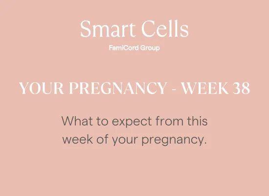 Your Pregnancy at Week 38