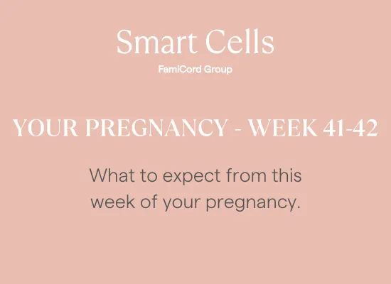 Your Pregnancy at Week 41-42