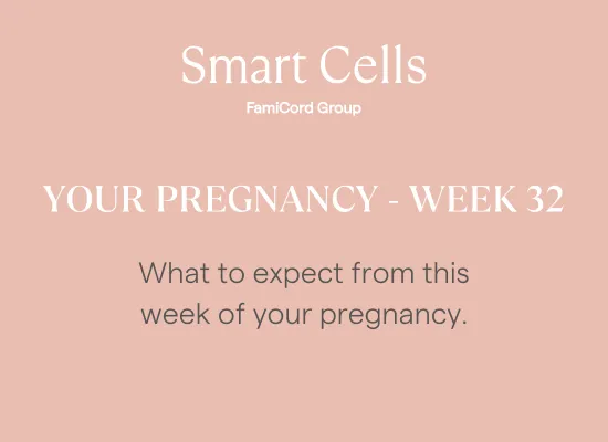 Your Pregnancy at Week 32