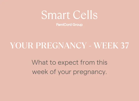 Your Pregnancy at Week 37